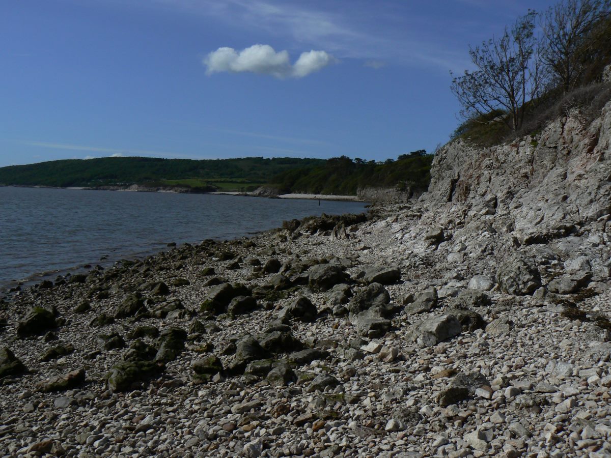 Limestone cliffs and scree at Silverdale beach